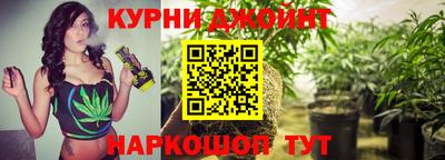 молекула духа Владивосток
