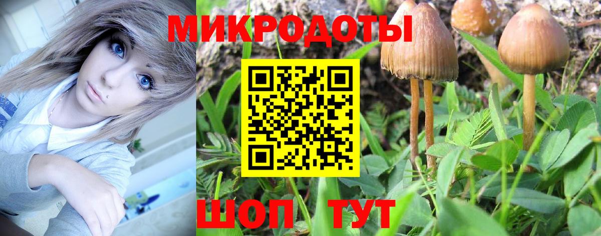 Галлюциногенные грибы MAGIC MUSHROOMS  Галлюциногенные грибы GOLDEN TEACHER  Вход с VPN  Арсеньев 