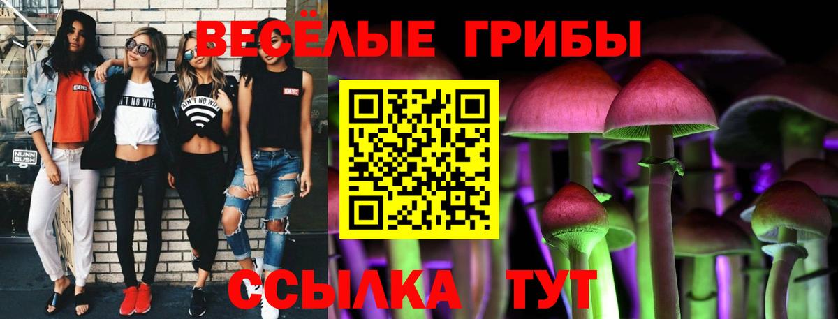Псилоцибиновые грибы мицелий Арсеньев